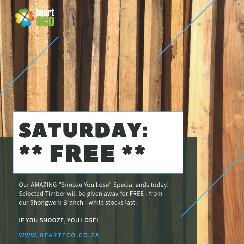 Saturday: free