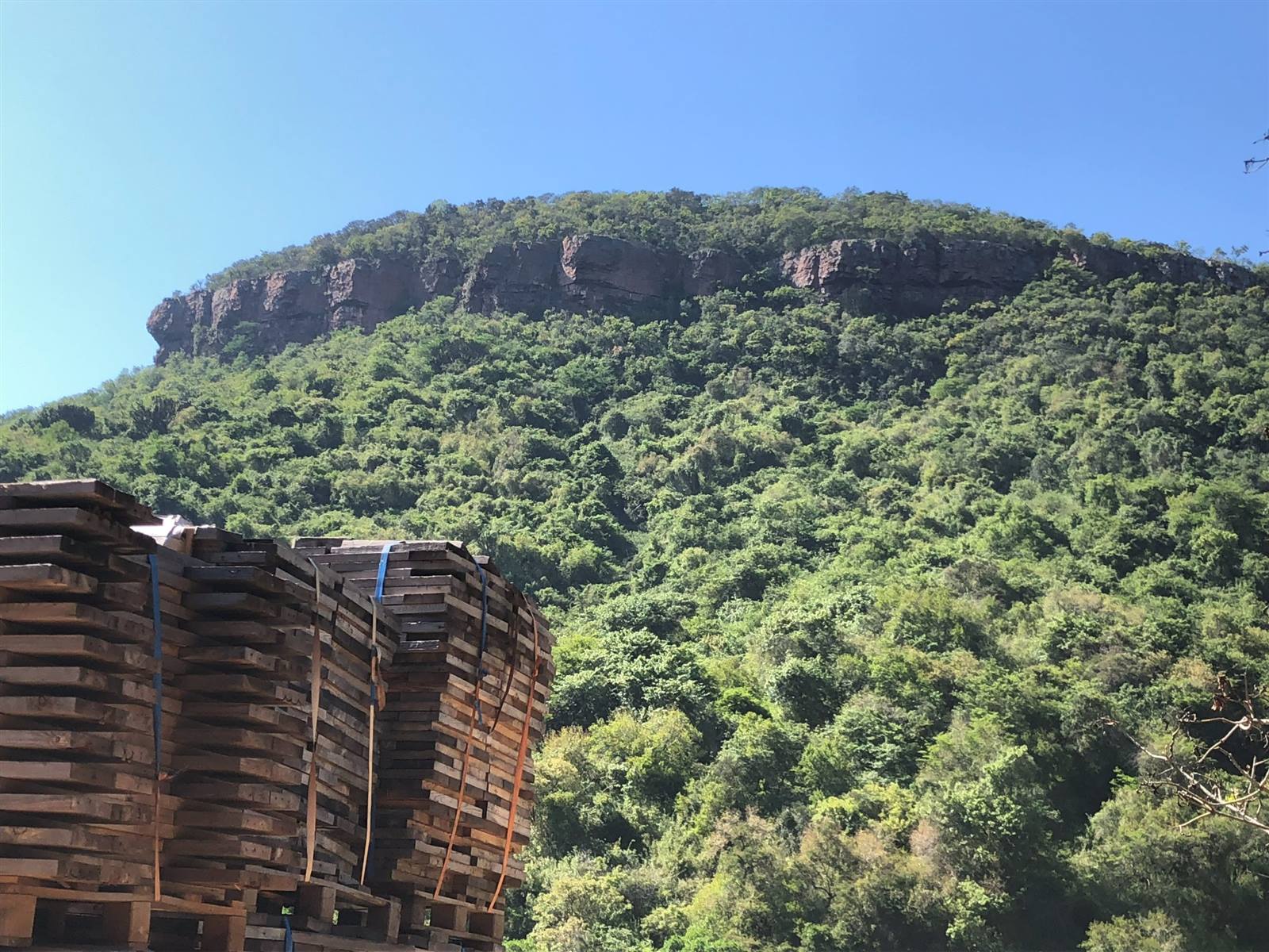 Strapped reclaimed timber in front of the green mountain above Shongweni