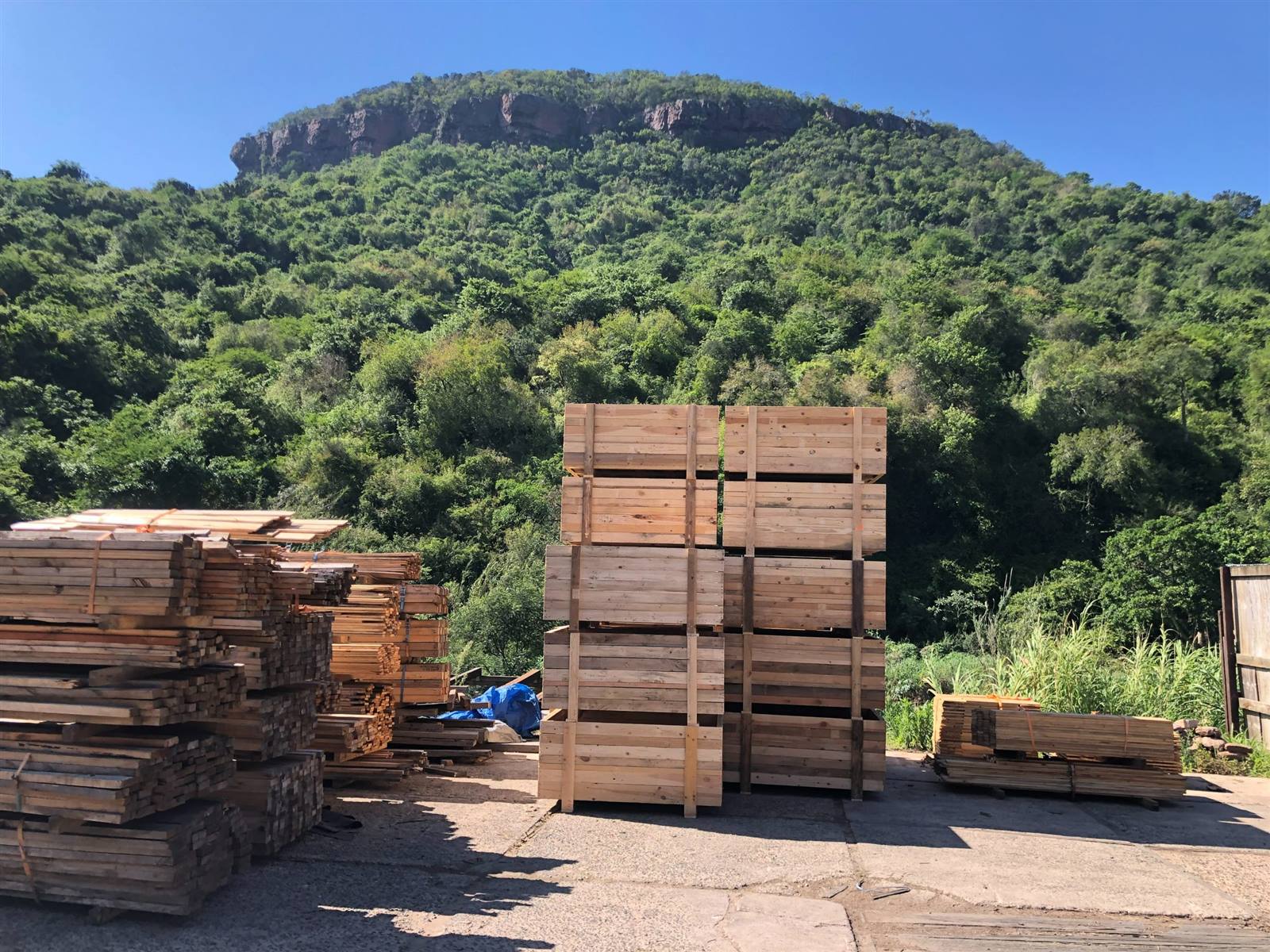 Stacks of reclaimed timber in the sun, the Shongweni mountain behind